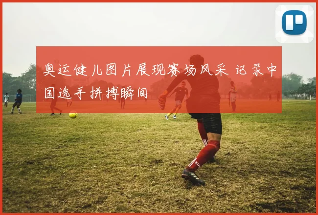 奥运健儿图片展现赛场风采 记录中国选手拼搏瞬间