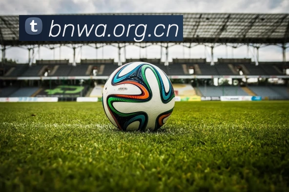 压球首页平台生态图